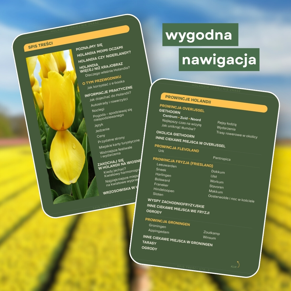 Holandia, jakiej nie znasz. Interaktywny przewodnik
