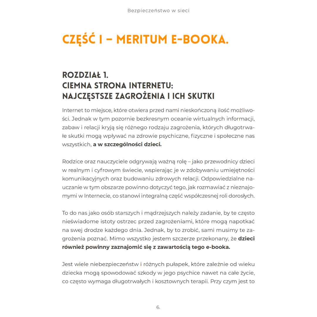 bezpieczeństwo w sieci