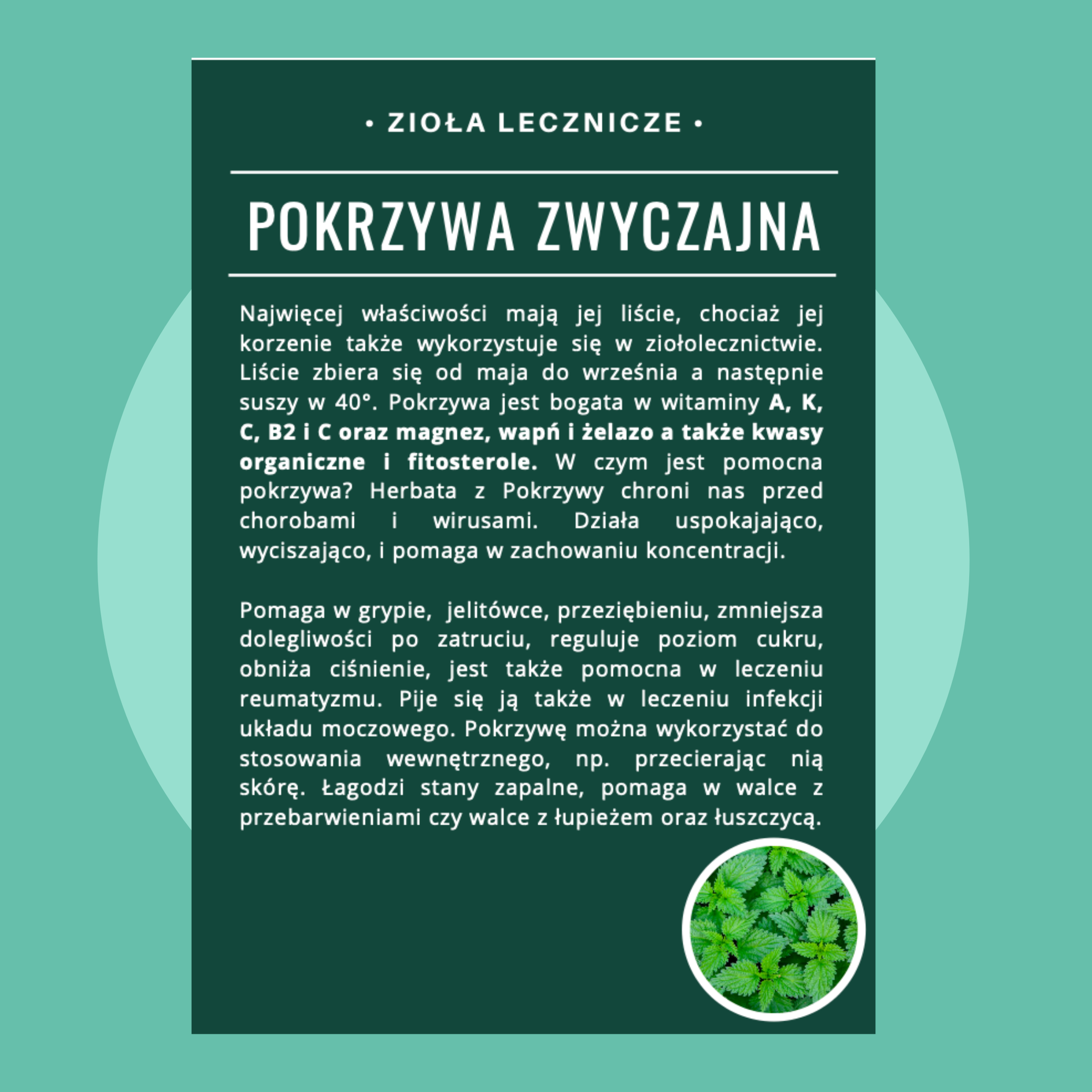 E-zdrowopedia