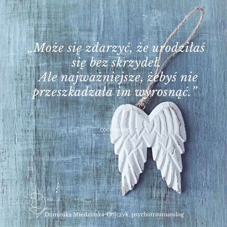 Echo północy
