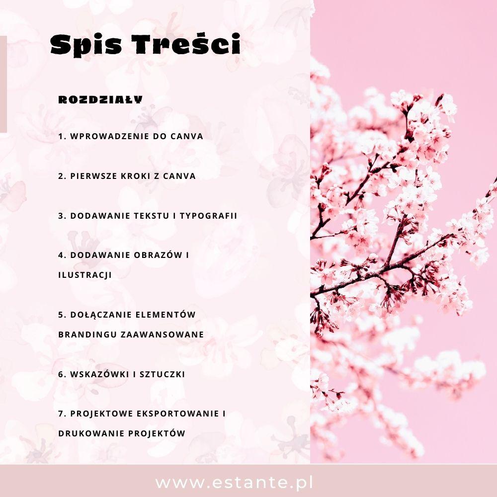 przewodnik po Canva
