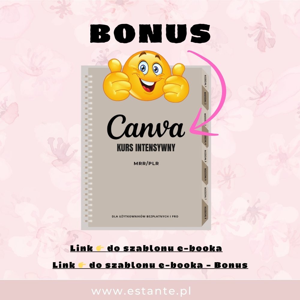 przewodnik po Canva