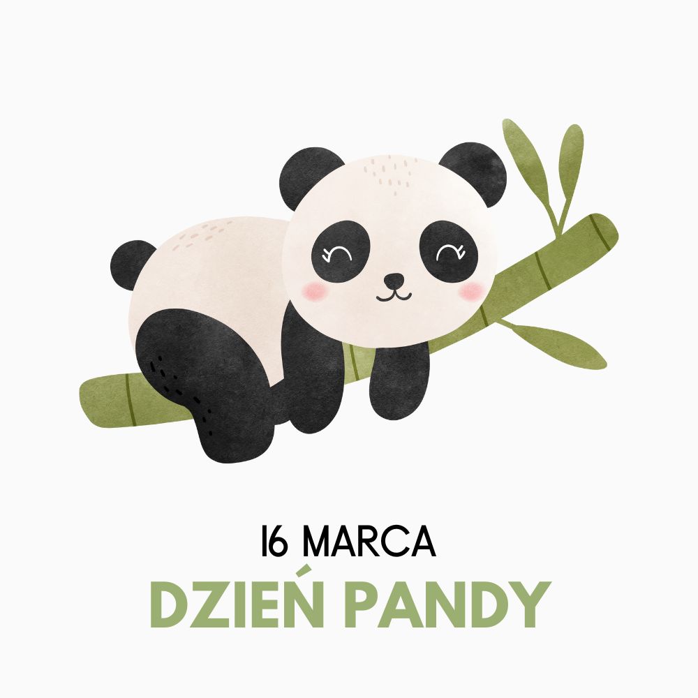 inspiracje świetlicowe