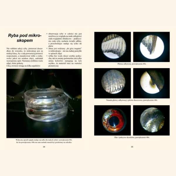 mikroskop i akwarium