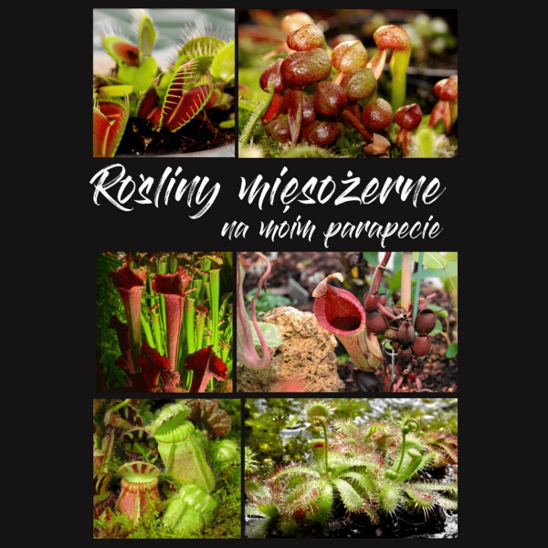 Rośliny mięsożerne