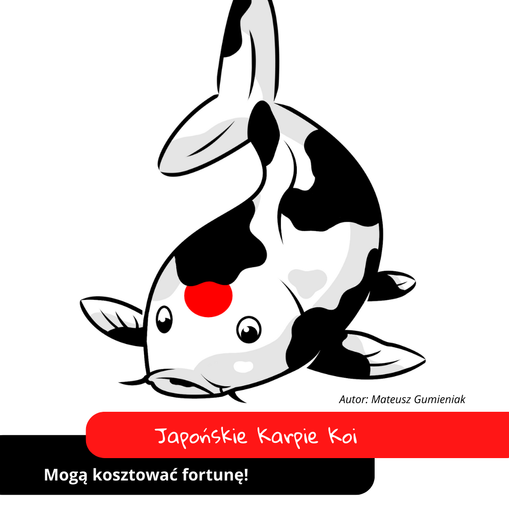 Karpie koi