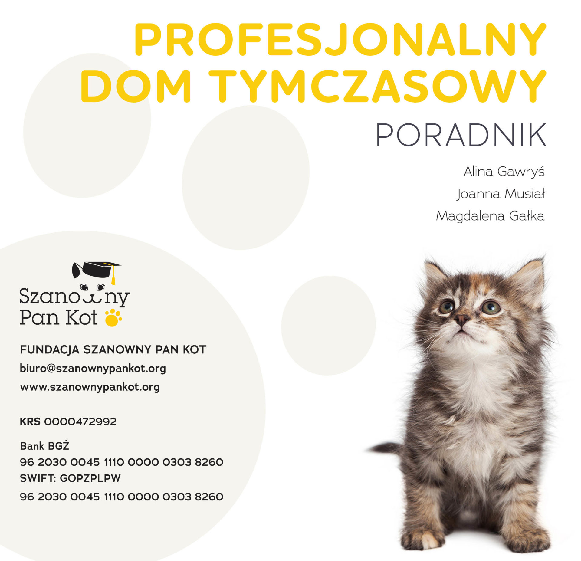 jak zostać domem tymczasowym dla kota? 