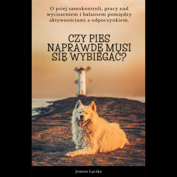 czy pies musi się wybiegać?