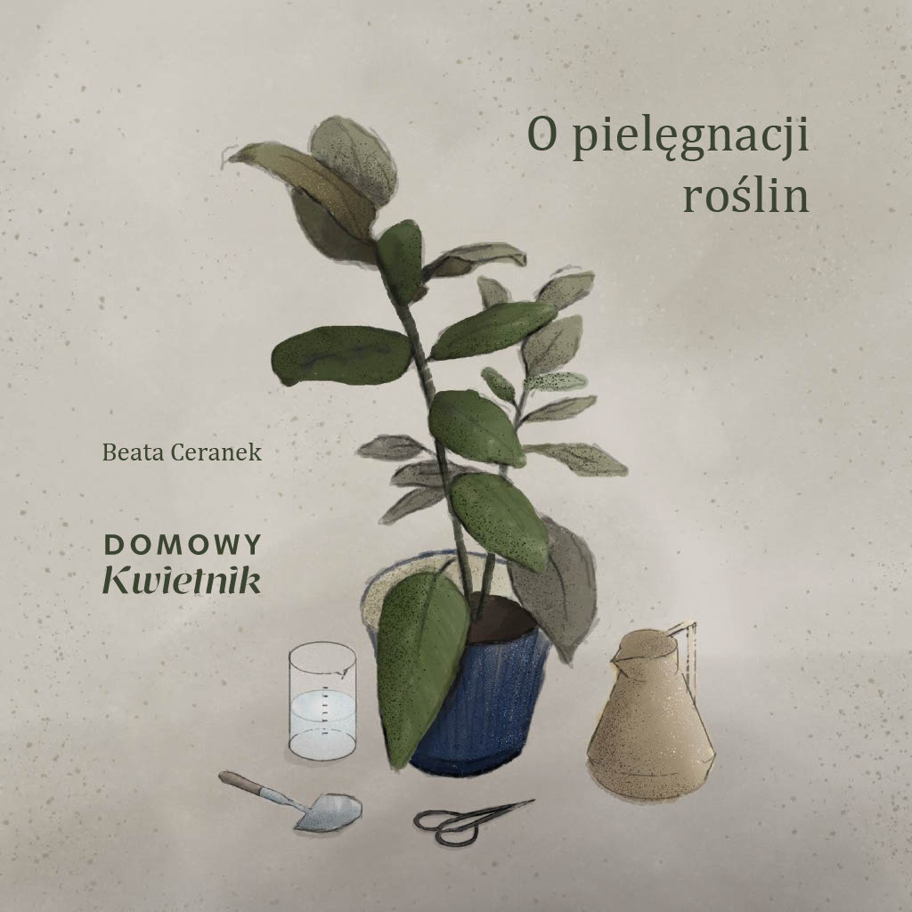 pielęgnacja roślin