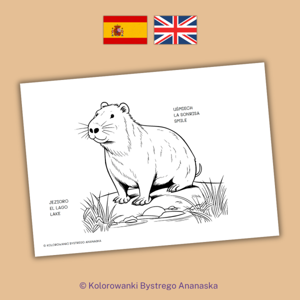 Kolorowanka KAPIBARA