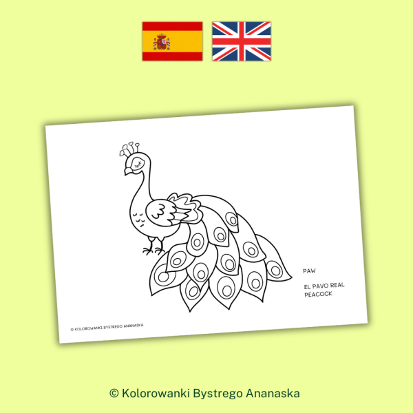 Kolorowanka do nauki hiszpańskiego i angielskiego. Zwierzęta