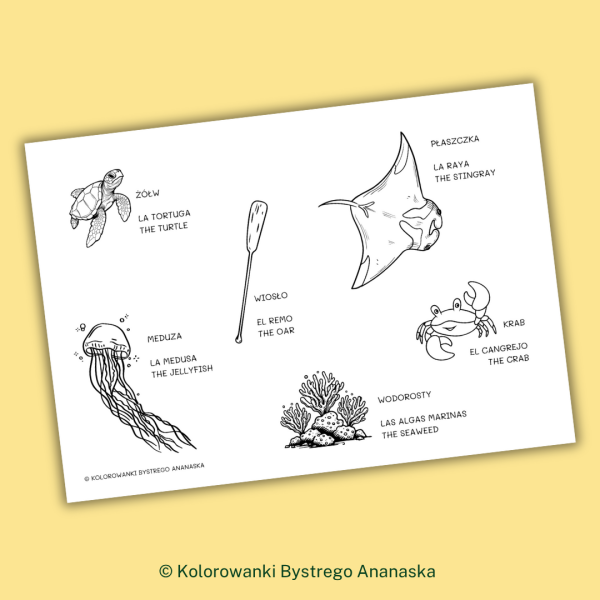 Kolorowanka do nauki hiszpańskiego i angielskiego – Vaiana