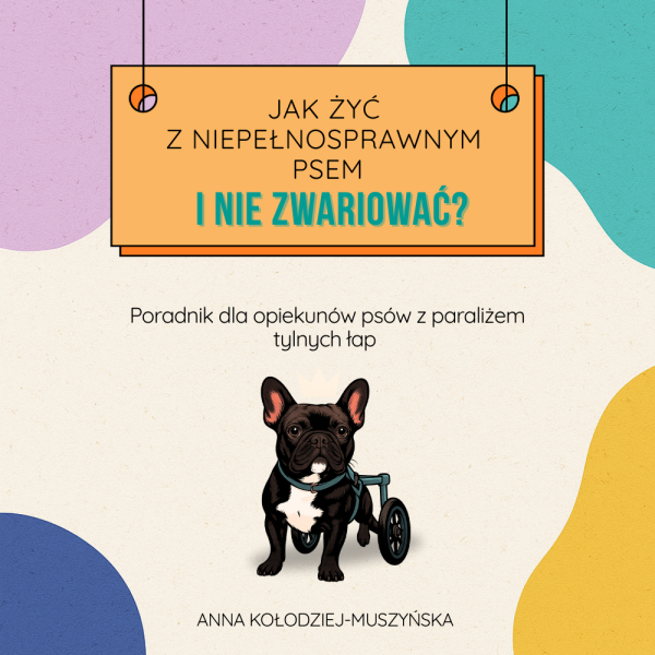 paraliż tylnych łap