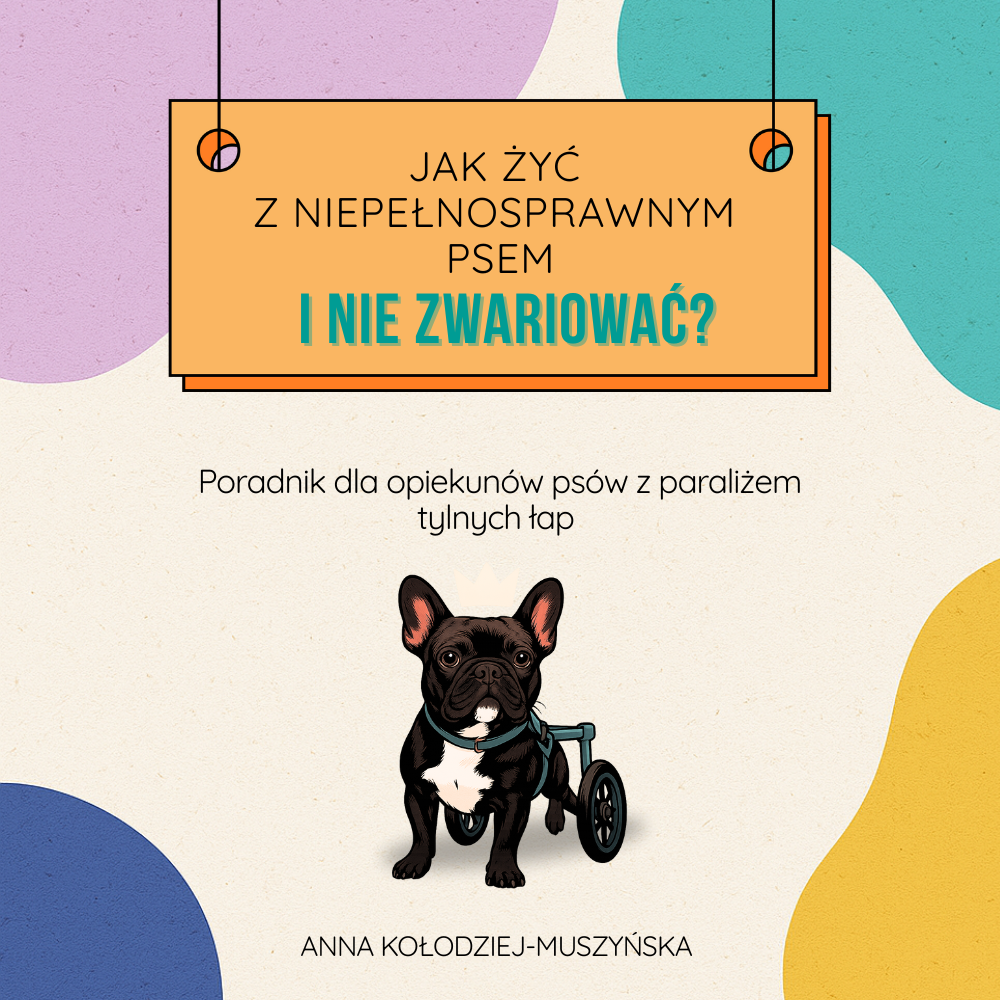 paraliż tylnych łap