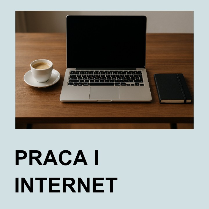 PRACA W INTERNECIE – Czyli okiem przeciętnego znawcy