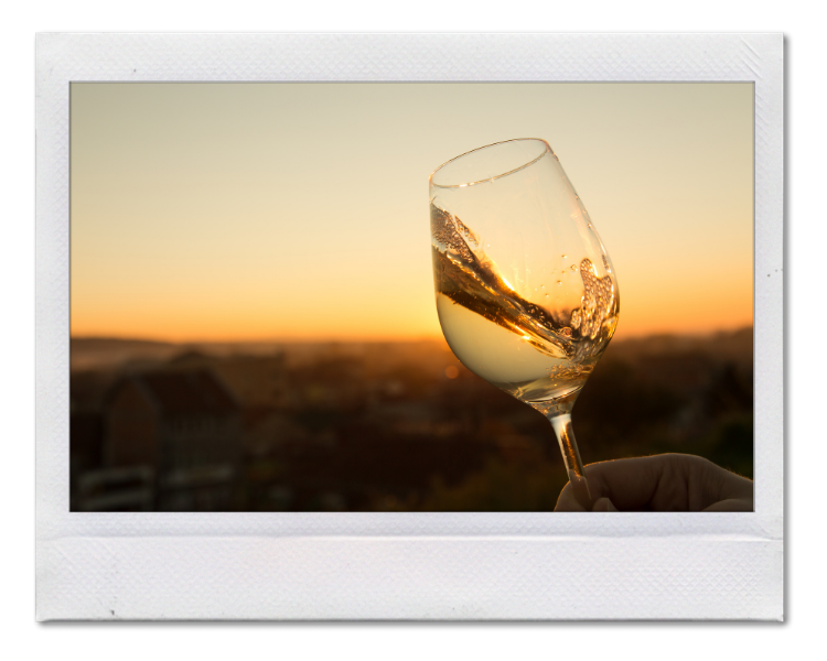 chardonnay