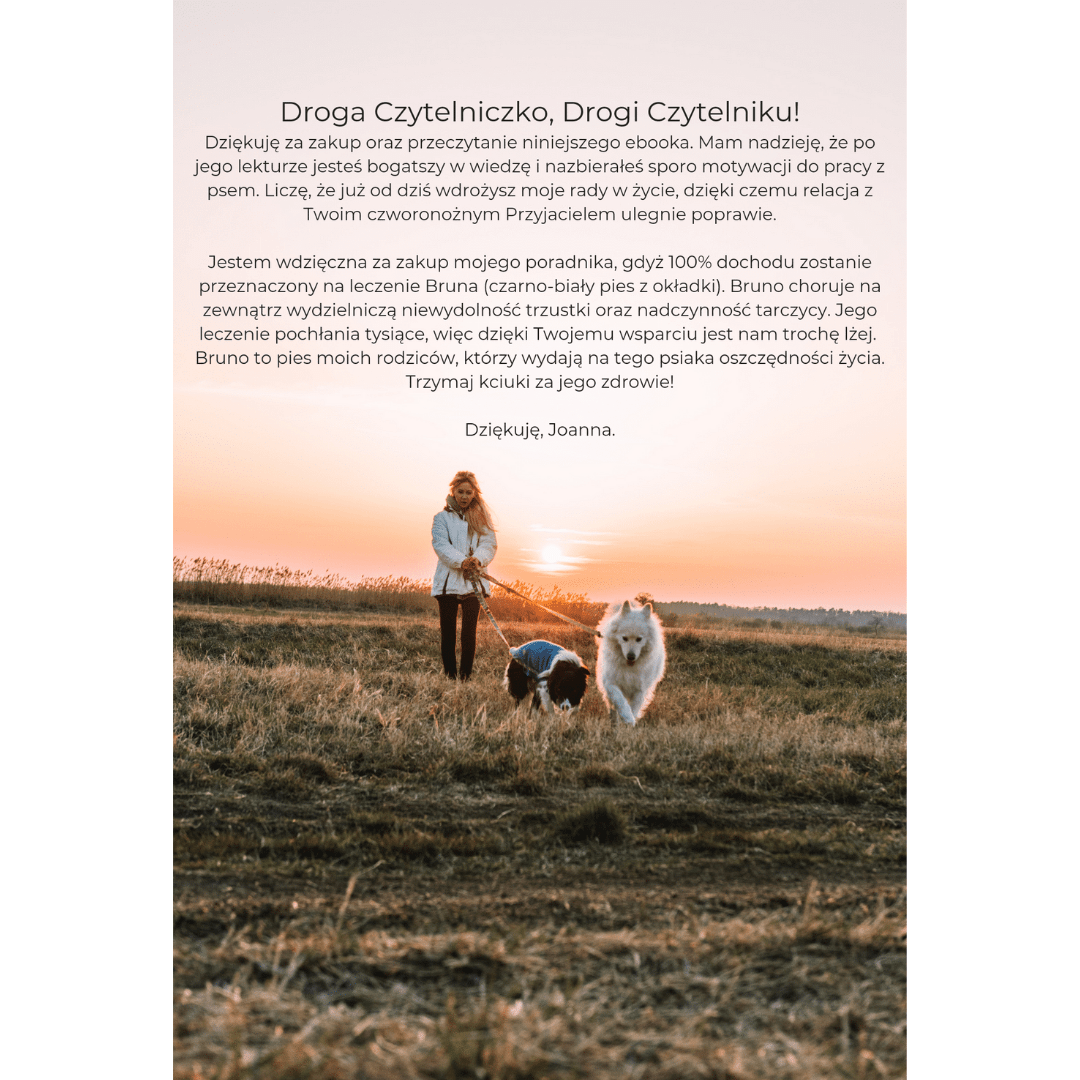 samojed
